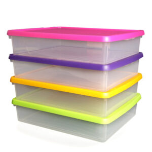 Transparent Plastic Storage Box – Small